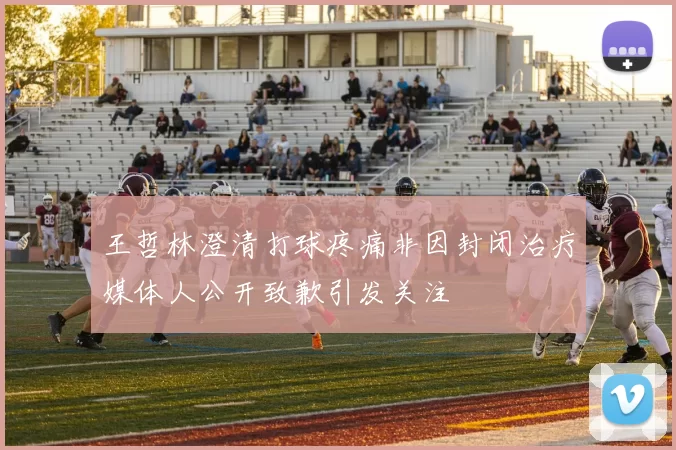 王哲林澄清打球疼痛非因封闭治疗媒体人公开致歉引发关注