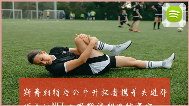 斯普利特与公牛开拓者携手共进邓顿关注NHL决赛暂停期选帅事宜
